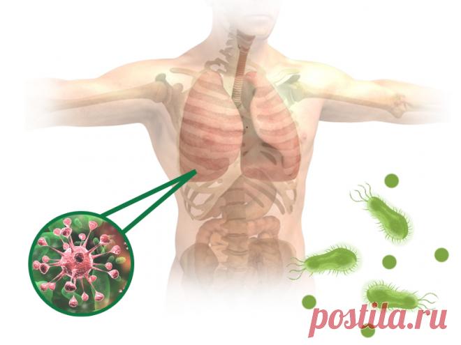 15 самых распространенных ошибок личной гигиены, которые приводит к