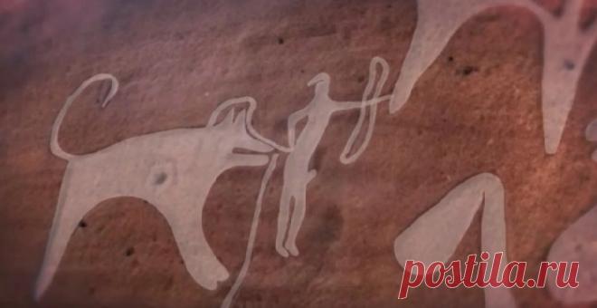 Первое насколько изображение собак на поводке обнаружено в пустыне Саудовской Аравии | История