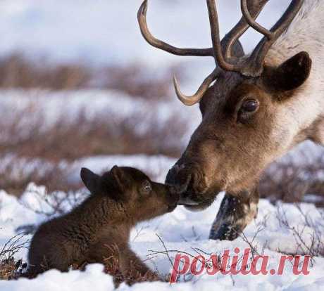 Мой Мир@Mail.Ru