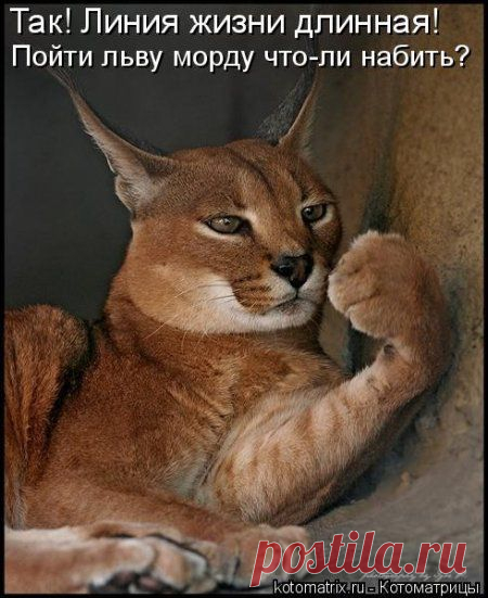 Смелость города берет!