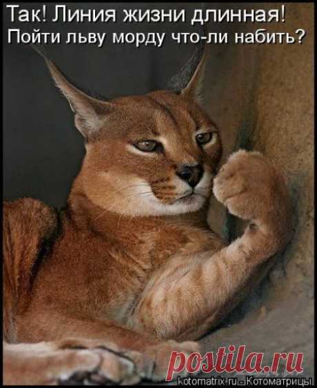 Смелость города берет!