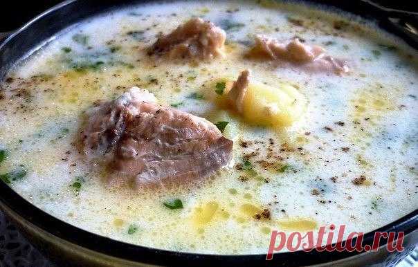 Лёгкий и нежный суп — вкусно и сытно 



Замечательный вариант!









Ингредиенты:
Консервированная горбуша — 1 банкаКартофель — 1 штПшено — 100 гВода — 1 лСливочный плавленный сыр — 100 гЗеленьСольПерецСливочное масло — 1 ст. л.
Приг…