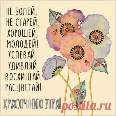(31) Pinterest