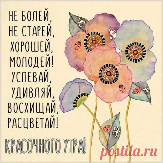 (31) Pinterest