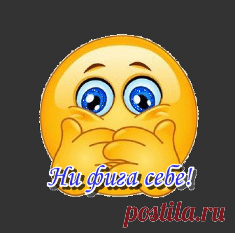 (3) Одноклассники