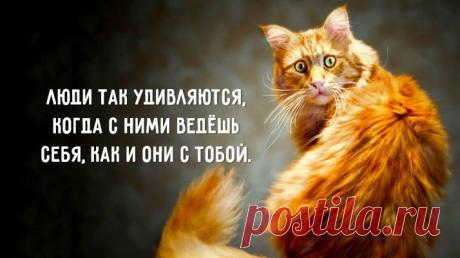 Действительно.