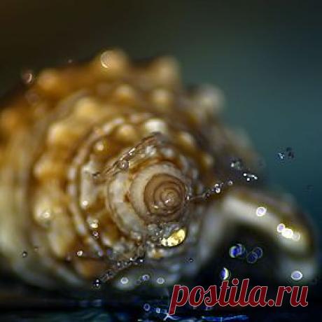 500px / Popular Photos