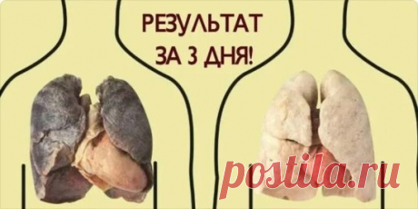 ЧТО НУЖНО ДЛЯ ОЧИЩЕНИЯ ЛЕГКИХ
Проверено многочисленными экспериментами: смесь помогает!
- 1 небольшой кусочек корня имбиря;
- 2 чайные ложки куркумы;
- 1 литр воды;
- 400 г чеснока (очищенного, и порезанного на дольки);
- 400 г сахара (может быть обычным, но в идеале — коричневый).
Вот что делать:
Нагрейте воду в кастрюле. Когда она закипит, добавьте в нее сахар, чеснок, имбирь и куркумы.
Сахар добавляйте последним.
Варите смесь на медленном огне до тех пор, пока не выкипи...
