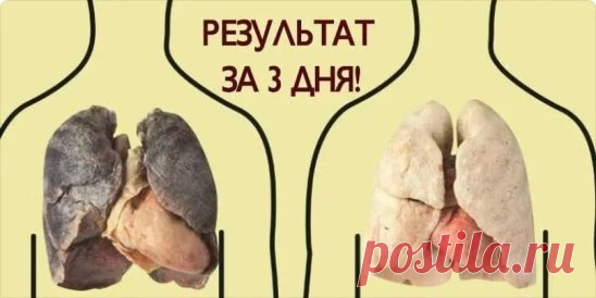 ЧТО НУЖНО ДЛЯ ОЧИЩЕНИЯ ЛЕГКИХ
Проверено многочисленными экспериментами: смесь помогает!
- 1 небольшой кусочек корня имбиря;
- 2 чайные ложки куркумы;
- 1 литр воды;
- 400 г чеснока (очищенного, и порезанного на дольки);
- 400 г сахара (может быть обычным, но в идеале — коричневый).
Вот что делать:
Нагрейте воду в кастрюле. Когда она закипит, добавьте в нее сахар, чеснок, имбирь и куркумы.
Сахар добавляйте последним.
Варите смесь на медленном огне до тех пор, пока не выкипи...