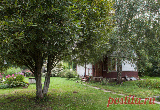 Хороший вопрос: Для чего нужна дача | Houzz Россия