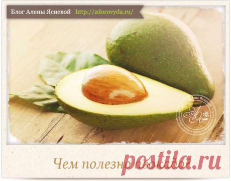 Чем полезно авокадо - десять важных фактов и причин