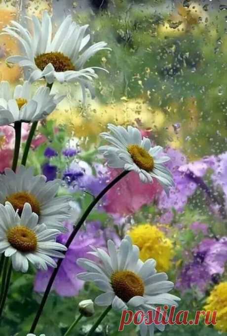 Flower Love — From imgfave.com