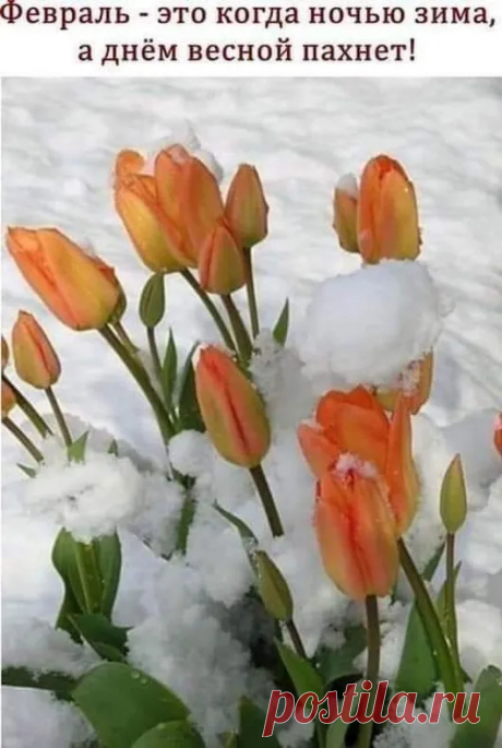 Google+