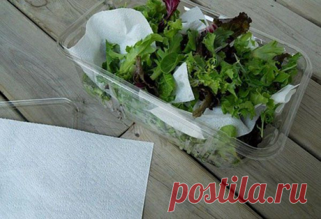 10 гениальных кухонных хитростей, о которых должны знать все идеальные хозяйки » В сети – себя просвети!