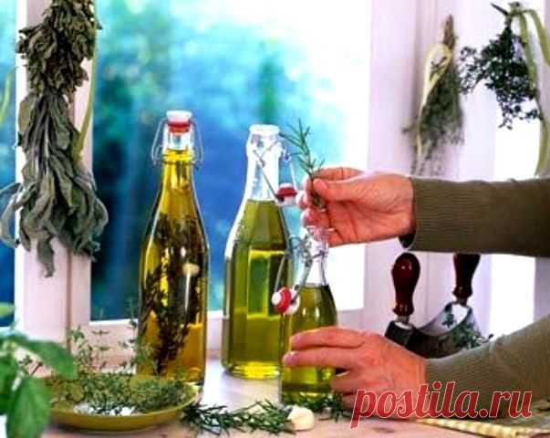 Растительные экстракты на страже красоты | Красота и здоровье