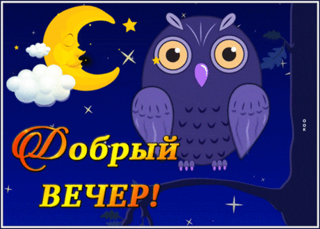Чудесная открытка добрый вечер с совой на дереве
