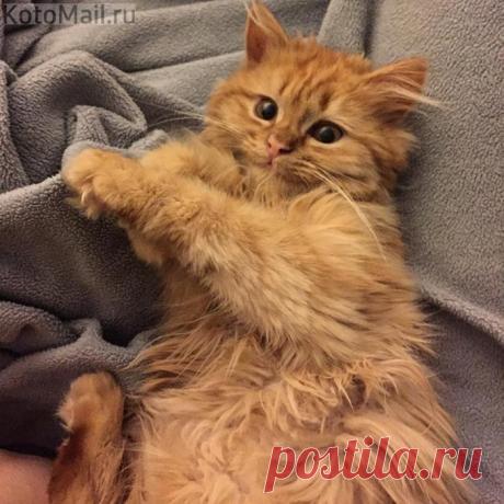 Лучик добра