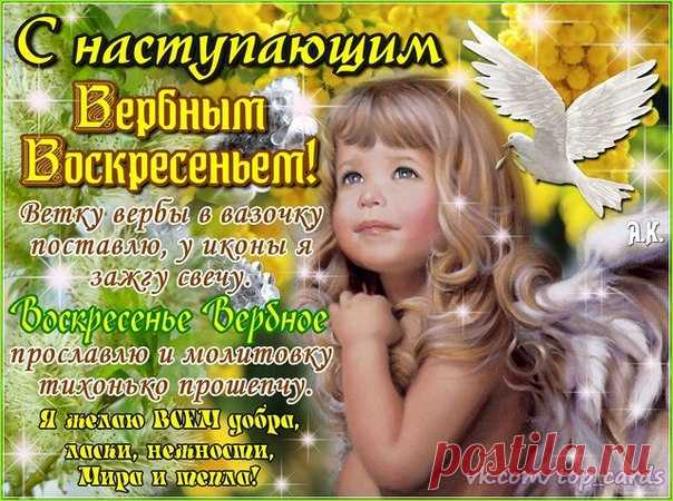 Лариса Корховая