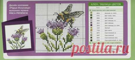 2518х1134