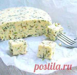 Домашние сыры - варианты приготовления.