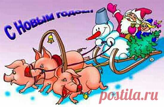 Поздравления с Новым годом 2019 Свиньи прикольные в стихах - Поздравительные открытки с Новым годом 2019 - Душевные поздравления с Новым годом в стихах