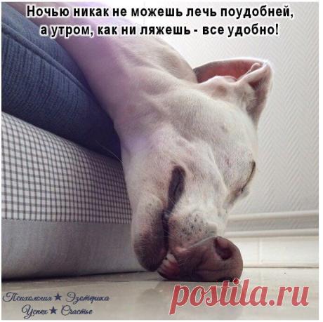 Одноклассники