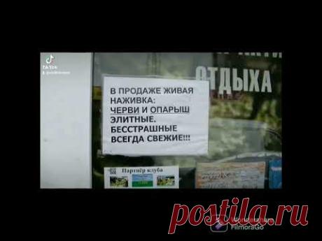 БОРЗЫЕ черви