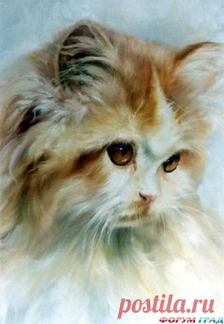 (35) Pinterest