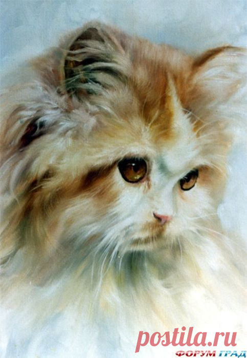 (35) Pinterest