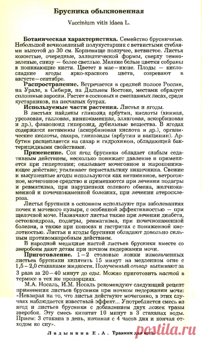 Брусника обыкновенная
