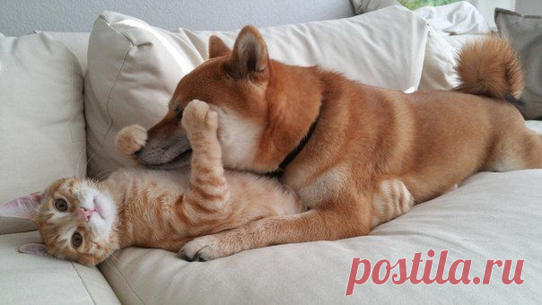 Мой Мир@Mail.Ru