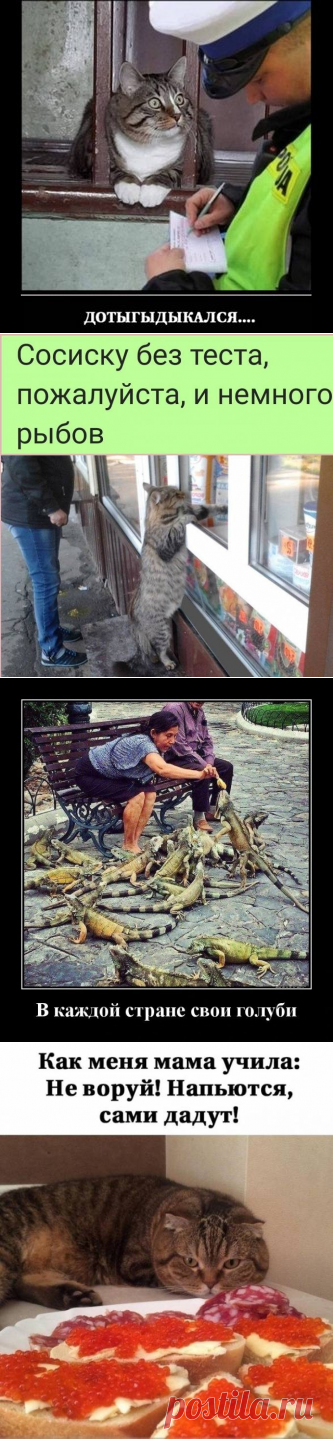 Улучшатели настроения / Приколы