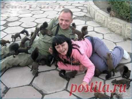 (4) Одноклассники