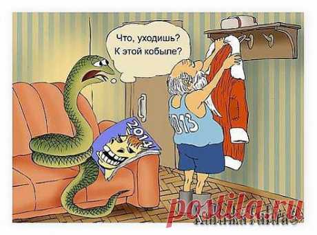 Одноклассники