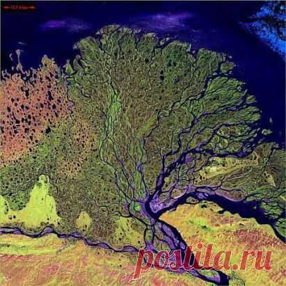 Вид из космоса, устье реки.