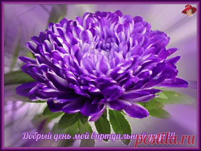 thumbs_104922783_4.gif (800×600)