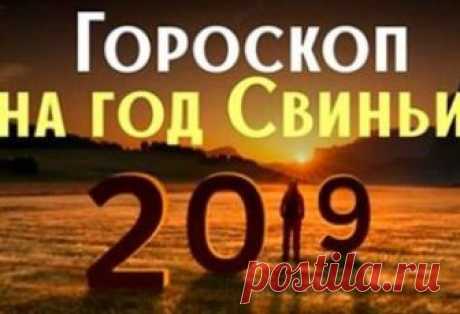 Что принесет Желтая Земляная Свинья: гороскоп на 2019 год для каждого знака зодиака