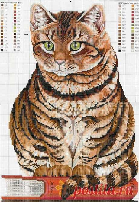 Рыжие коты и кошки. Вышивка. Подборка