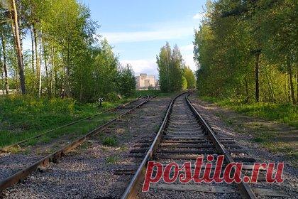 На Украине сошел с рельсов поезд из Киева в Варшаву. На Украине сошел с рельсов поезд из Киева в Варшаву в Волынской области, об этом сообщила областная прокуратура. Возбуждено уголовное дело по факту нарушения правил безопасности движения или эксплуатации железнодорожного транспорта, выясняются причины и обстоятельства произошедшего.