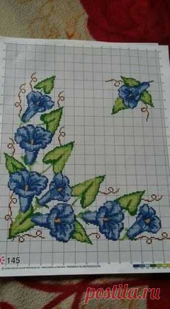 (1854) Pinterest