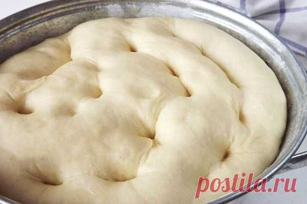 Тесто, из которого всегда получается удачная выпечка — Домашняя кулинария