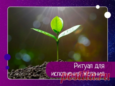 Ритуал прост, но вместе с этим очень эффективен.