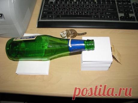 Борьба с грызунами на даче и в доме: звуки, запахи и отлов