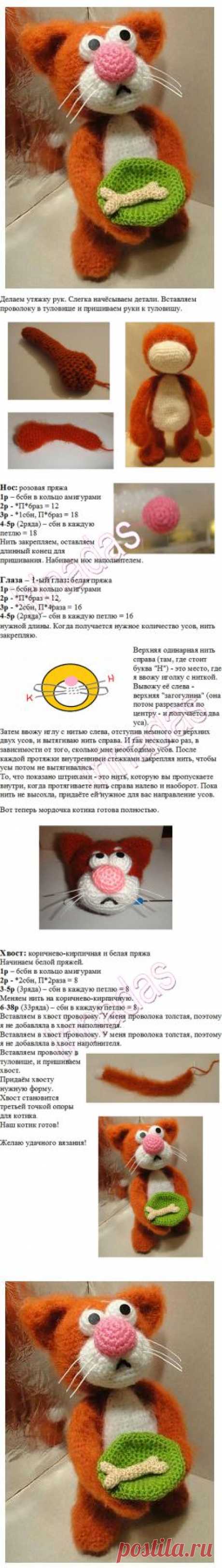вязаный котик