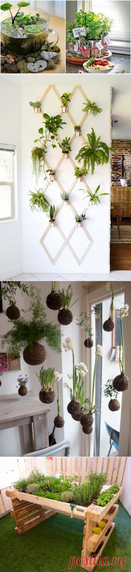 Идеи для мини-сада в квартире — Мой дом