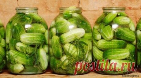 Огурцы маринованные:

На дно 3-х литровых банок выкладываю зелень (листья хрена, зонтики укропа, листья смородины, вишни, соцветия дикой щирицы, лавровый лист), выкладываю вымоченные (около 6 часов) в воде огурцы. Заливаю кипятком на 7 минут. Затем воду сливаю в отдельную кастрюлю для приготовления маринада и сразу же заливаю огурцы кипятком ещё на 7 минут.
Маринад: 
В слитую из 1-й банки воду кладу: 2 ст. л. соли; 4 ст. л. сахара; 120 (!) гр 9% уксуса и довожу до кипения....