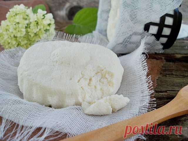Домашняя Рикотта и...два рецепта с нею