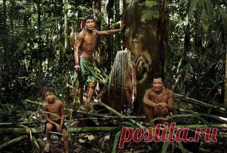 ​Племя индейцев Пираха самый счастливый народ на земле