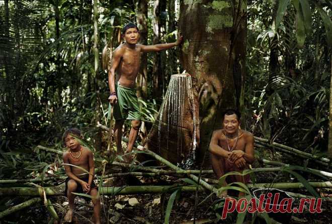 ​Племя индейцев Пираха самый счастливый народ на земле