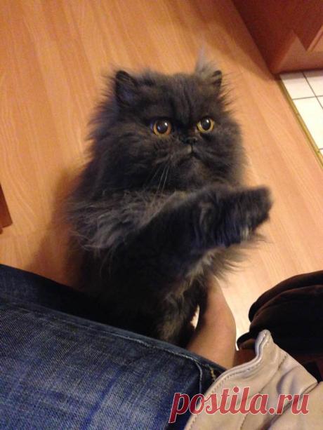 (12) Facebook